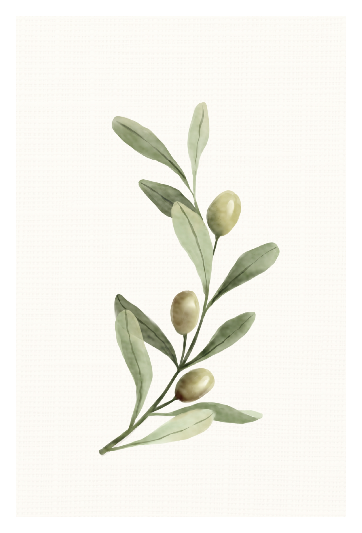 painted imagery of an olive brance