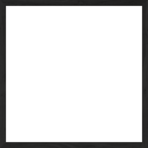 FRAME ONLY