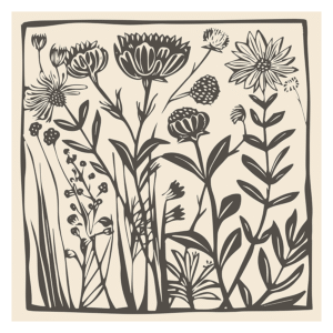 Black and Beige Flower Sketch