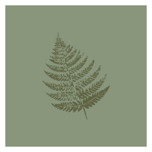 Leaf Imprint 2
