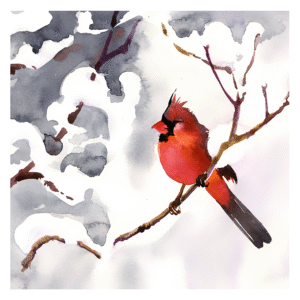 Snow Cardinal