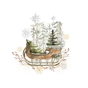 Vintage Sleigh