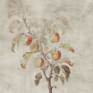 Vintage Apple Orchard