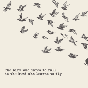 Birds who Fall are Birds who Fly