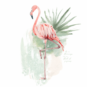 Be a Flamingo