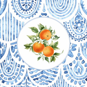 Printed Fruit - Orange