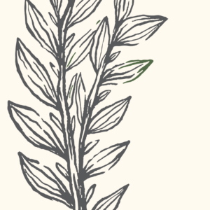 Sketched Floral 1