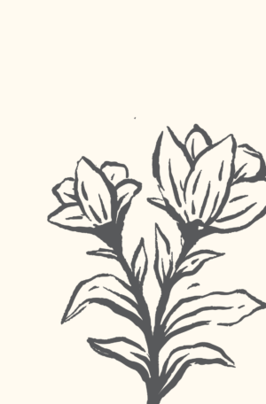 Sketched Floral 2