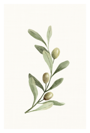 painted imagery of an olive brance