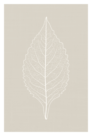 Etched Leaf Tan by Minted Prints Studio